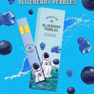 Blueberry